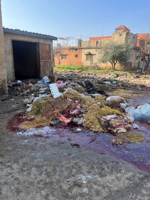 فتح تحقيق بشكوى إهمال في مسلخ بعلبك