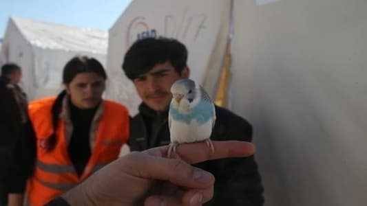 ببغاء تُنقذ أسرة من الموت قبل الزلزال بدقائق