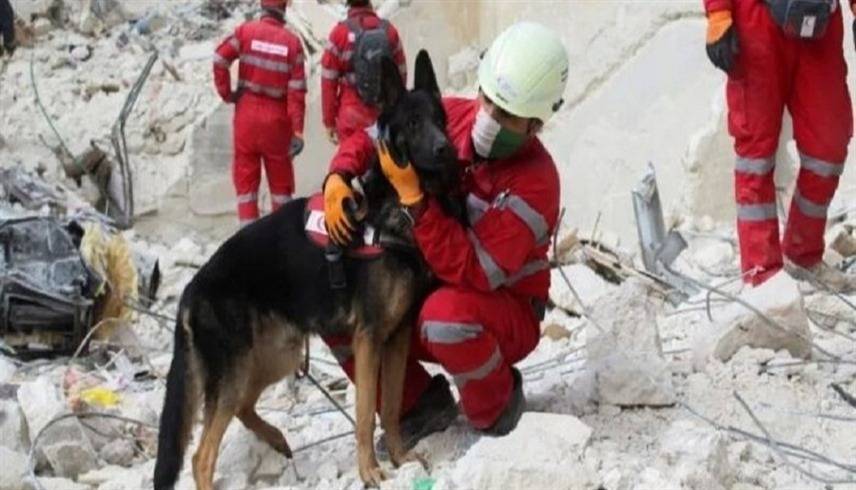 بعد 23 يوما من الزلزال.. انتشال كلب من تحت الأنقاض بأنطاكية