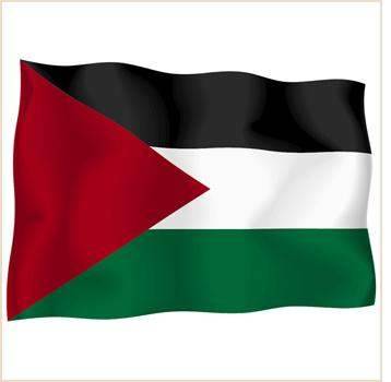 الرئاسة الفلسطينية: إسرائيل تشن حرباً مفتوحة ضد الفلسطينيين