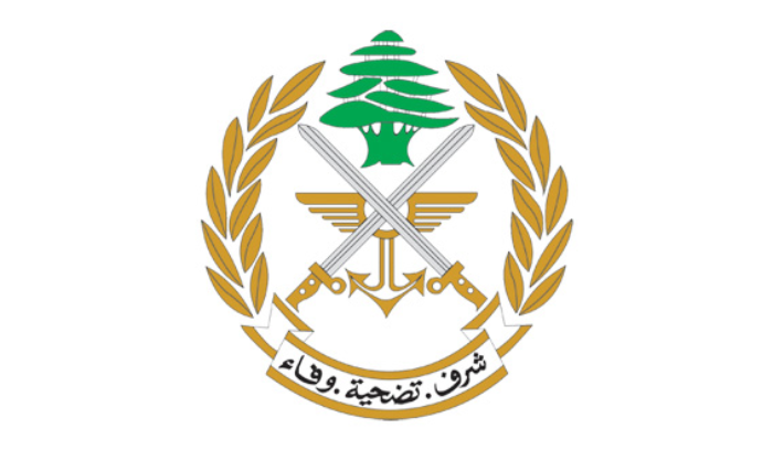الجيش: تحرير مخطوف وتوقيف خمسة خاطفين في خلده