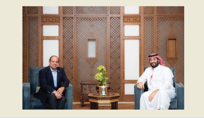بن سلمان التقى السيسي في جدة