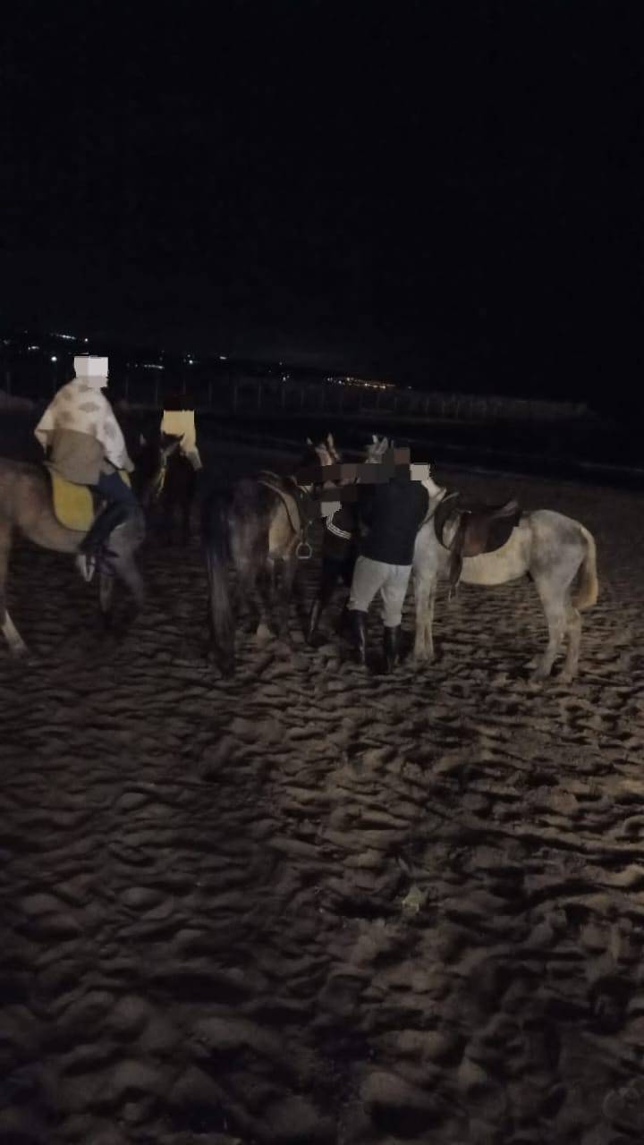 بلدية صور تطرد 