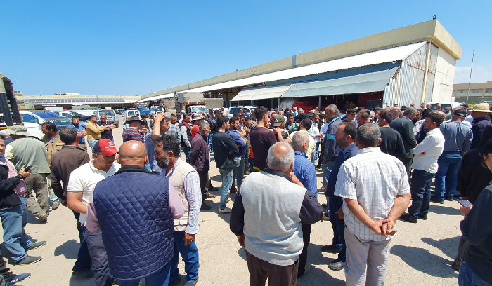 مزارعو البطاطا في عكار: الإستمرار بوقف جني المحاصيل حتى الجمعة