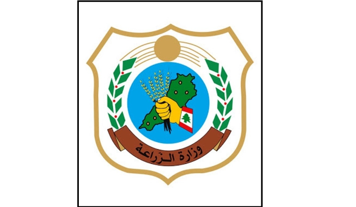 وزارة الزراعة تنفي إشاعات عن إدخال إرسالية بطيخ