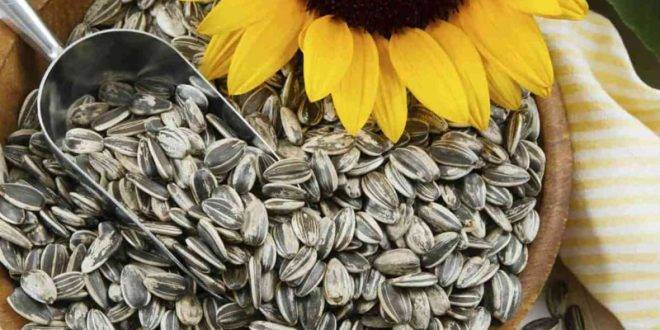 يساعد في كبح الشيخوخة.. ما هو “الطعام الفائق”؟