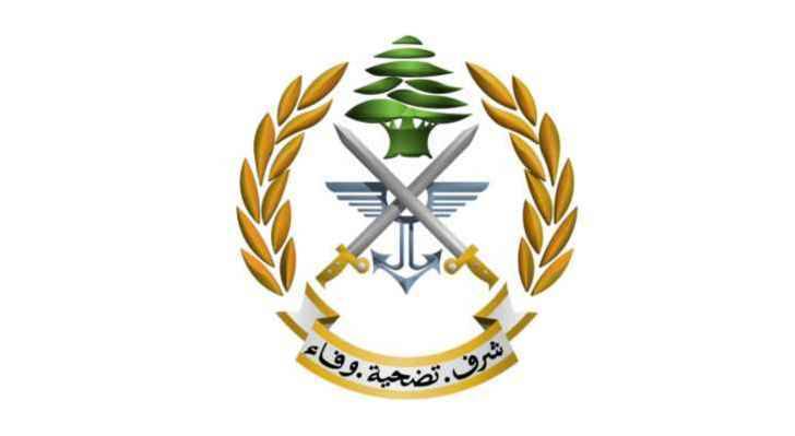 عمليات أمنية وتوقيفات في برج البراجنة والجاموس والليلكي