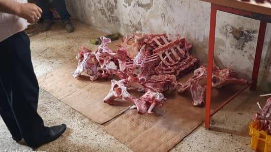 جولة لمراقبي 