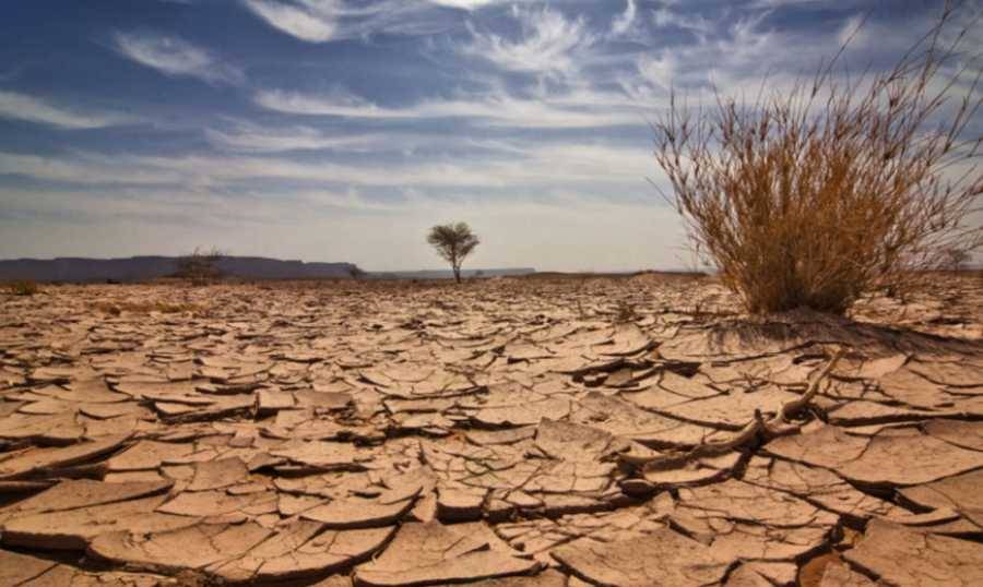 الأمم المتحدة تحذر من ظاهرة 
