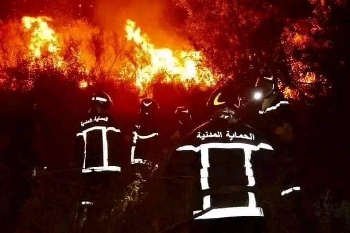 حرائق الجزائر تقتل وتصيب العشرات.. وتلتهم الغابات