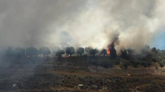 حريق كبير في ضهور الرميلة