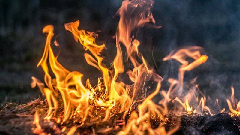 حريق كبير اندلع في ضهور بلدة الرميلة الساحلية في إقليم الخروب وأتى على مساحات من الاعشاب وأشجار الزيتون