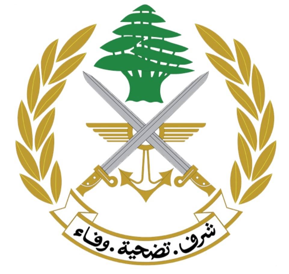 تنفيذ طيران بمناسبة عيد الجيش