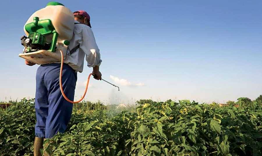 مواد مسرطنة في أدوية رش المزروعات!