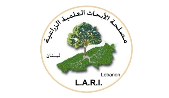 هذا ما طلبته 