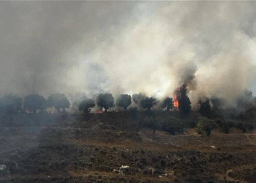 أهالي الاقليم يناشدون المعنيين المساعدة لانقاذ طبيعة وأحراج المنطقة من الحرائق
