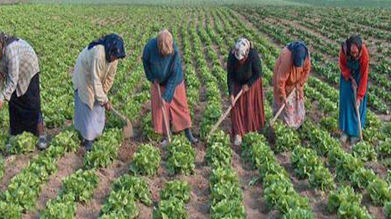 تحية من لحود الى المرأة الريفية في يومها العالمي