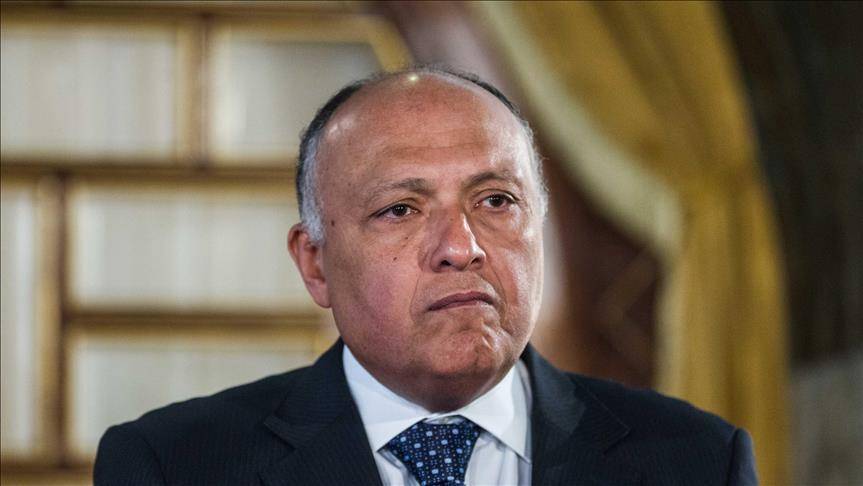 شكري يضع ميقاتي في نتائج قمة القاهرة