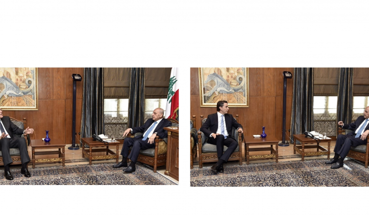 الأوضاع في الجنوب محور لقاءات بري
