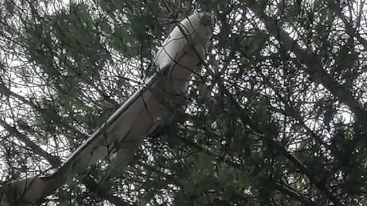 بالصّور: مسيّرة عالقة بين الأشجار  جنوباً