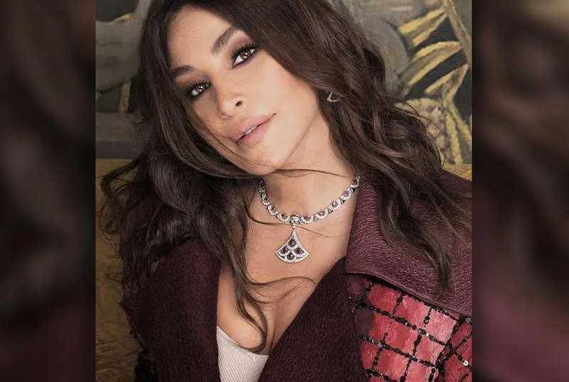 القضاء يُحرّر إليسا من شركة 