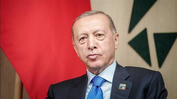 أردوغان عن قرار محكمة العدل: أتوقع نتيجة إيجابية