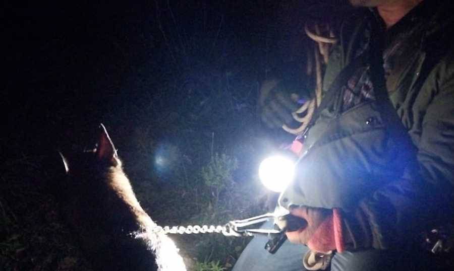 انقاذ شخصين وطفل وكلب احتجزوا على ضفة نهر