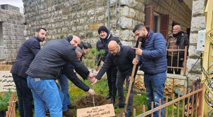حملة تشجير صنوبر في بزبدين