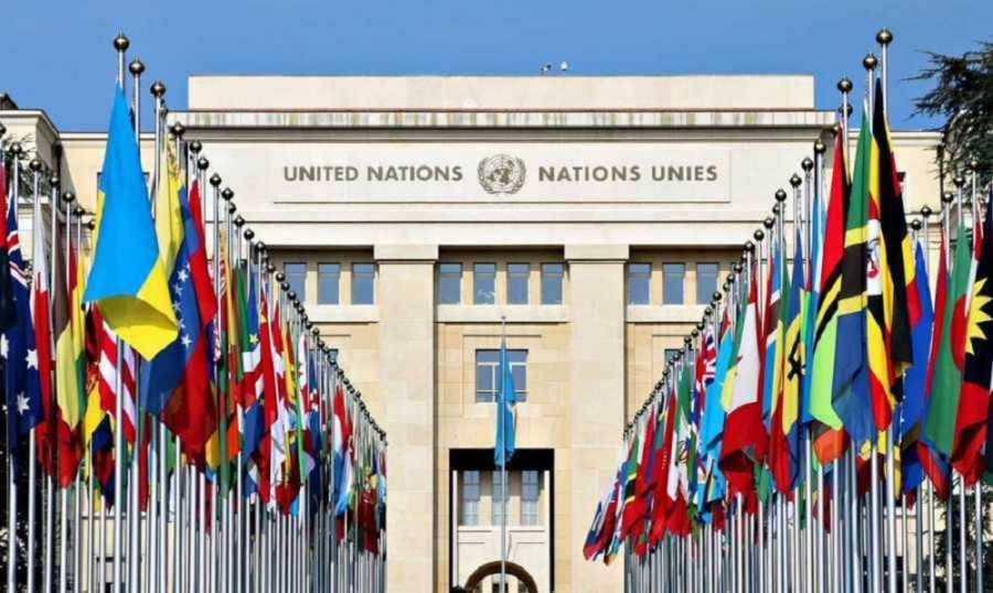 الجمعية العامة للأمم المتحدة تندد باستهداف دورية 