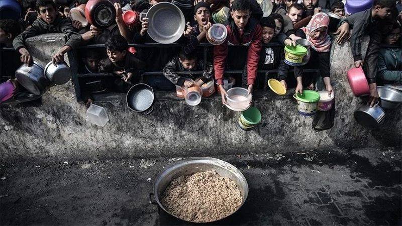 الأمم المتحدة: أكثر من مليون شخص في غزة يواجهون انعدام الأمن الغذائي