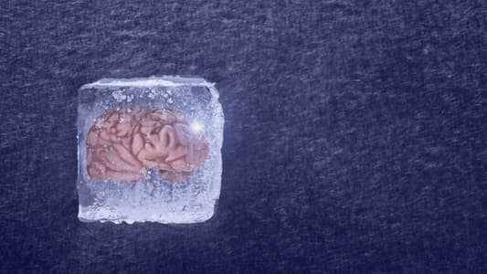 علماء ينجحون في إعادة دماغ متجمّد إلى الحياة
