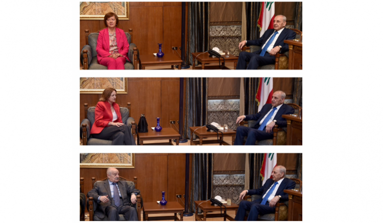 لقاءات بري