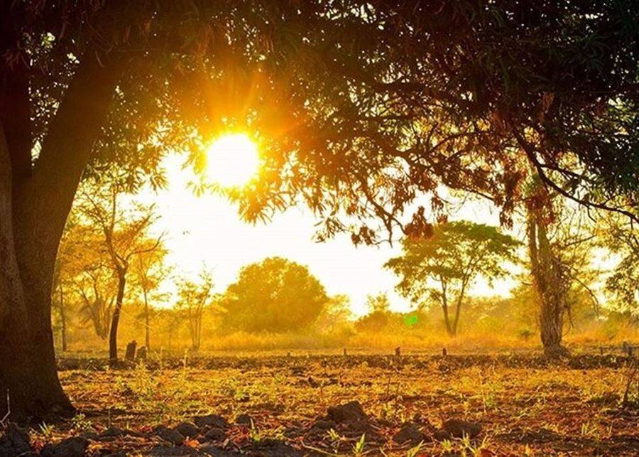 الطقس مستقر.. الحرارة فوق المعدلات مع أجواء مغبرة نتيجة تدفق كتل دافئة