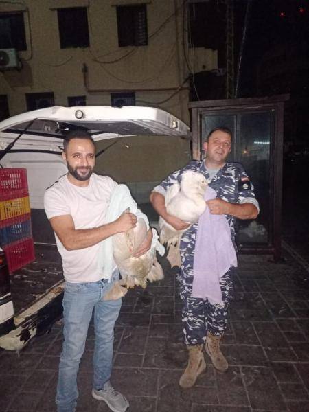 توقيف شخصين بجرم مخالفة قانون الصيد البري وبيع طيور مهاجرة