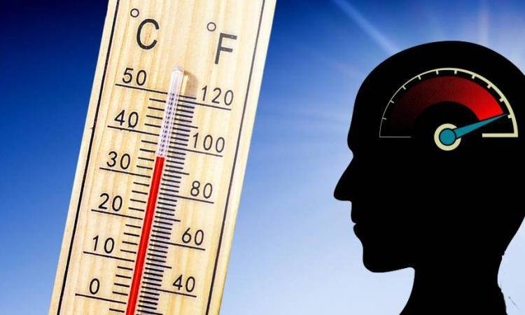 ما هي تأثيرات الحرارة الشديدة على وظائف الجسم من العقل إلى الكلى؟