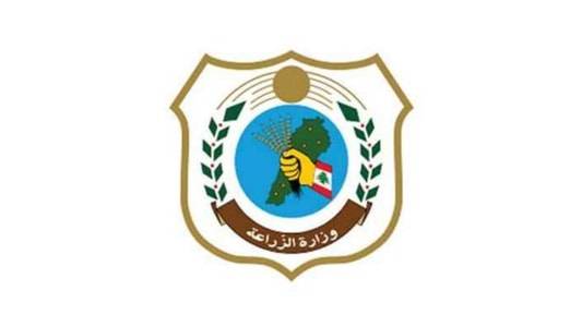 توضيح من وزارة الزراعة بشأن بواخر المواشي في المرفأ ‏