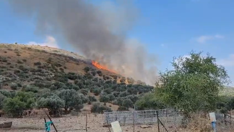 الإذاعة الإسرائيلية: القصف الأخير من لبنان أسفر عن أضرار كبيرة في بلدة الكابري في الجليل الأعلى