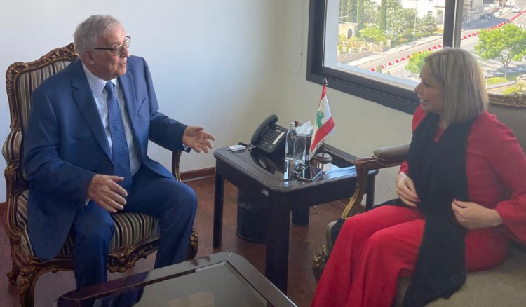 بو حبيب يبحث مع بلاسخارت وماغرو في تجديد ولاية 