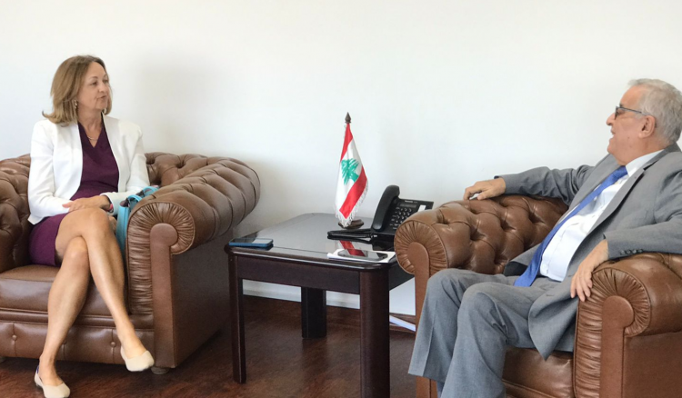 بو حبيب يعرض وجونسون نتائج زيارته لواشنطن