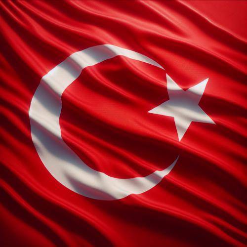 تركيا: اغتيال هنية يظهر أن حكومة نتنياهو ليست لديها نية لتحقيق السلام