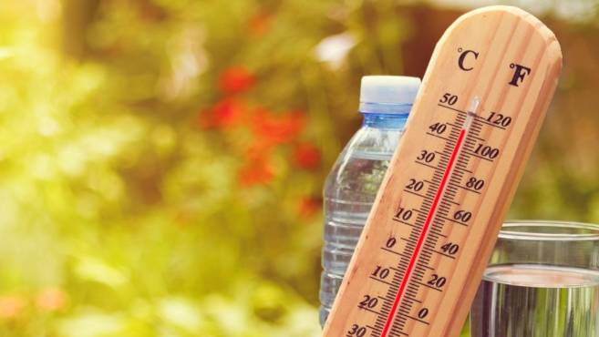 درجات حرارة مستقرة ورطوبة عالية