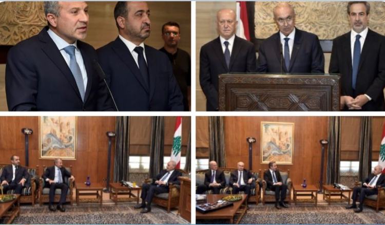 لقاءات بري