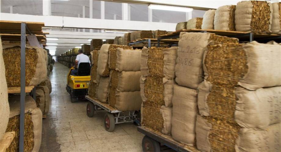 مسعى لإطلاق آلية استلام محاصل التبغ المتبقية في الجنوب