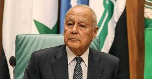 ابو الغيط في بيروت
