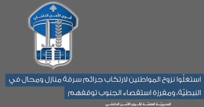 قوى الامن : توقيف اشخاص استغلّوا النزوح  ونفذوا عمليات سرقة في النبطيّة