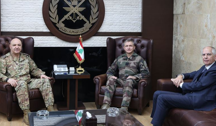 آلية التنسيق في الجنوب بين قائد الجيش والجنرال الفرنسي بلجنة الإشراف