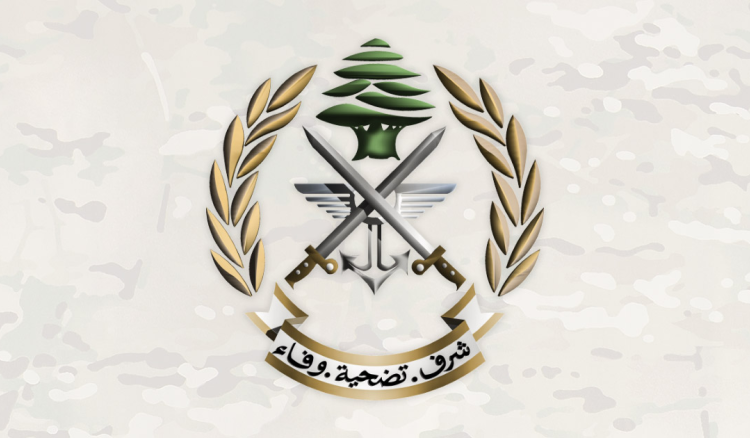 الجيش: تفجير ذخائر غير منفجرة في بلدة الخيام