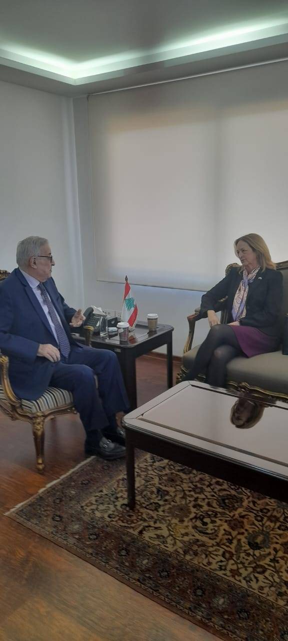 بوحبيب يبحث مع جونسون الاستحقاقات الدستورية والوضع جنوباً