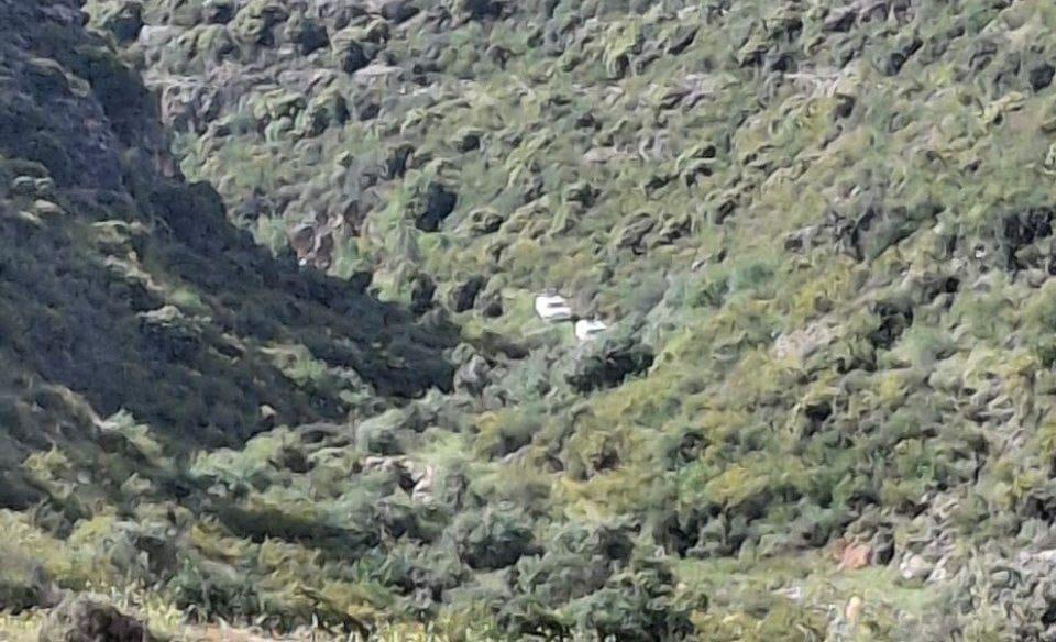 دوريات لليونيفيل في مجاري الاودية في منطقة زبقين جنوب صور