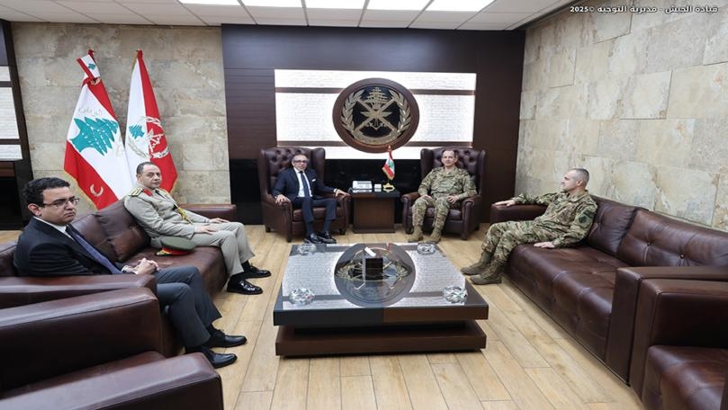 سلسلة لقاءات لقائد الجيش